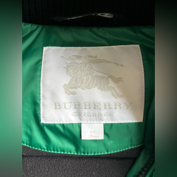 Burberry Kids Green Detachable Hood Down-filled Puffer Coat Size 6 - Picture 5 of 14